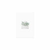 pk-213_aquarellkarte_flowerpost_freisteller
